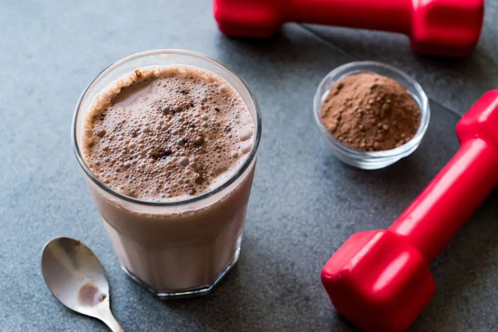 Protein tozunun faydaları və zərərləri
